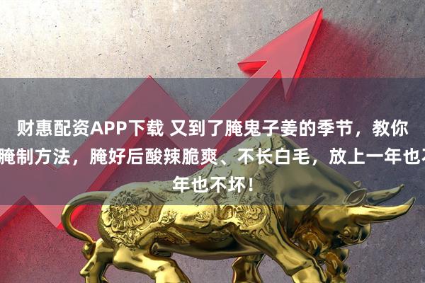 财惠配资APP下载 又到了腌鬼子姜的季节，教你详细腌制方法，腌好后酸辣脆爽、不长白毛，放上一年也不坏！